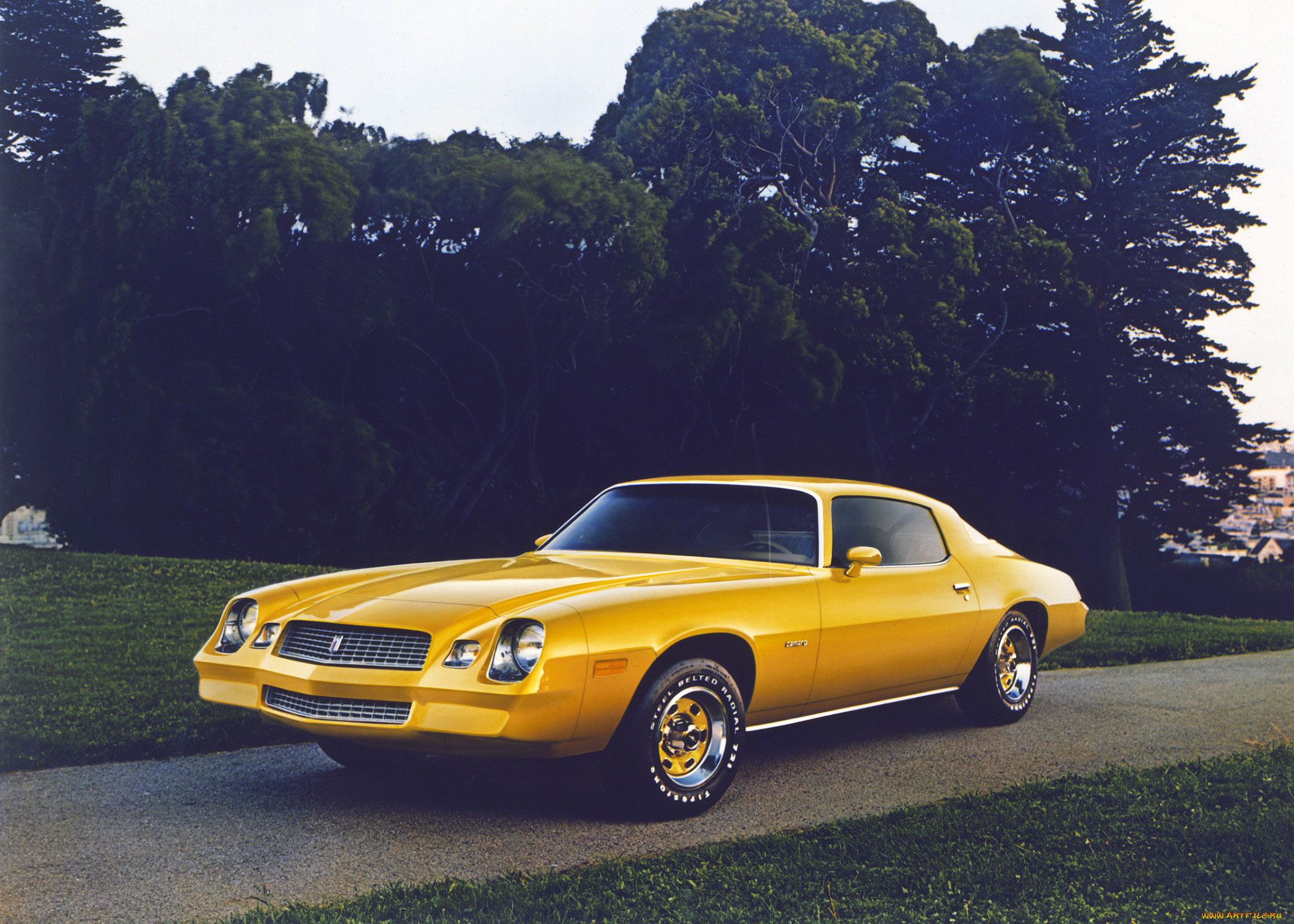 , camaro
